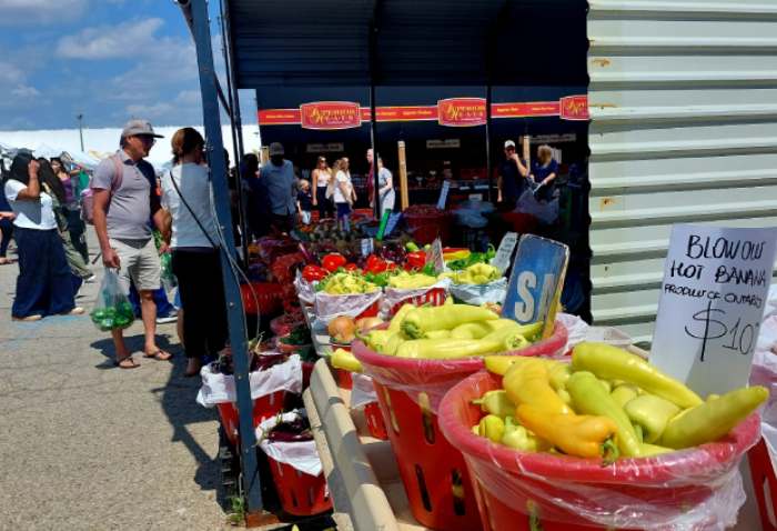 Produce Vendor at St Jacobs Market with Visitors