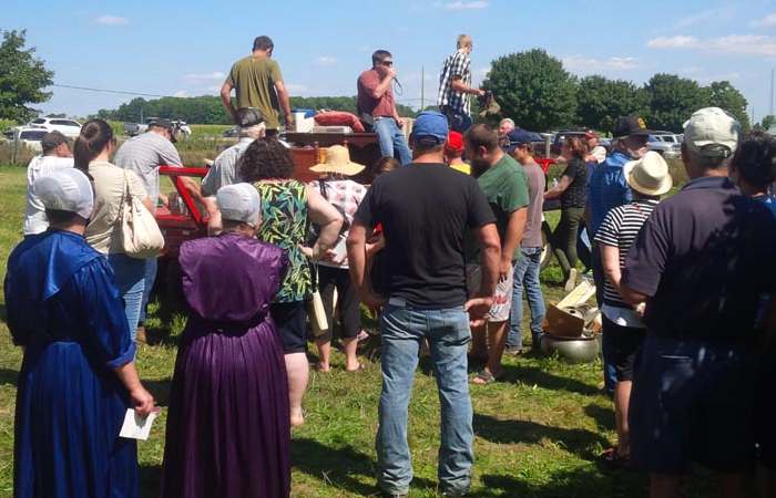 outside farm auction with buyers